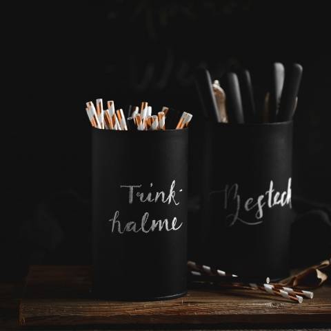 Caotina Organizer